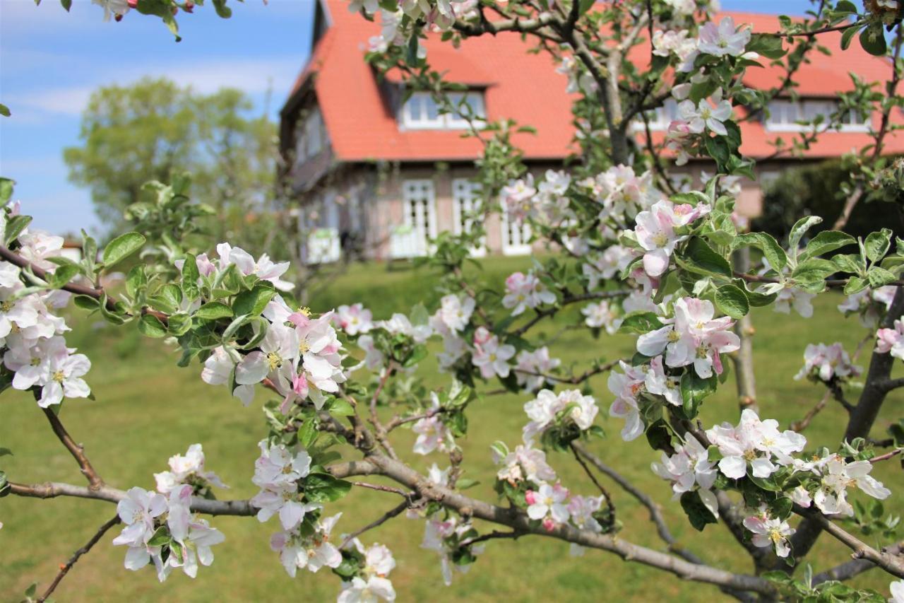 Landhaus Fuenfseen Ngoại thất bức ảnh